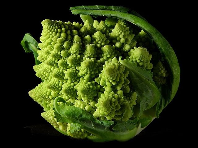 Romanesco broccoli
