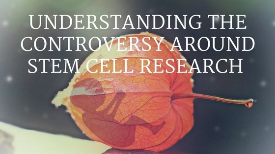 Understanding stem cell controversy